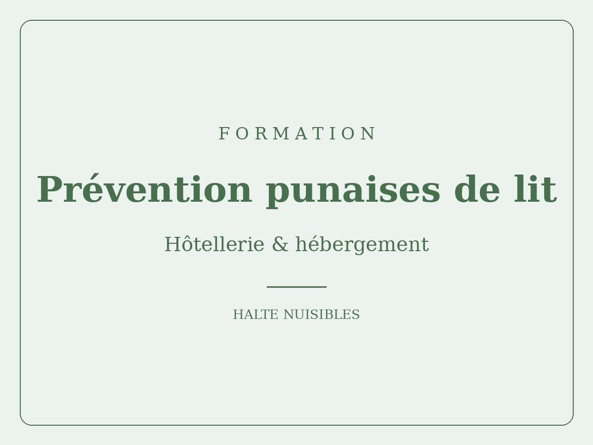 Formation : prévention punaises de lit (hôtellerie)