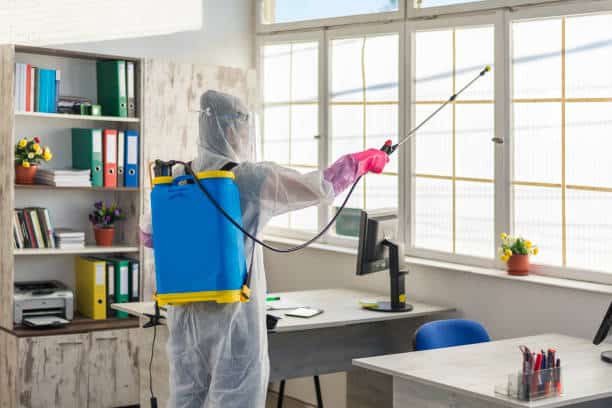 5 nuisibles courants dans les locaux d’entreprise.