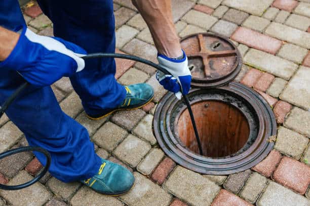 Empêcher les nuisibles d’entrer dans vos drains.