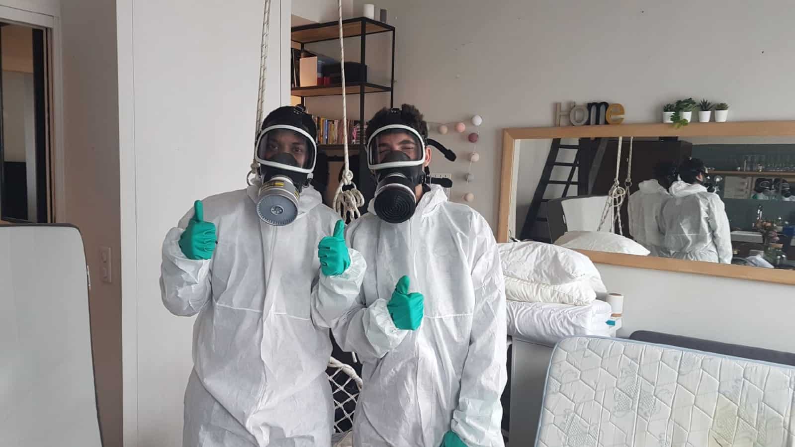 Désinfection et nettoyage après une infestation de nuisibles : ce qu’il faut savoir