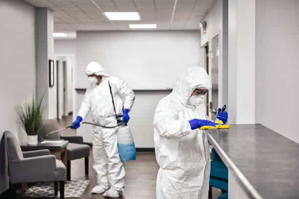 désinfection après une infestation de rongeurs