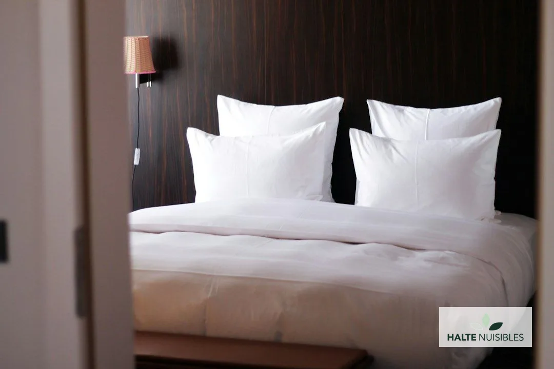 Punaises de lit dans une chambre d'hôtel à Paris : protocole vapeur express 4 heures (cas palace 8e)