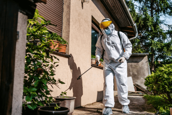 3 raisons d’opter pour des inspections antiparasitaires régulières pour votre domicile
