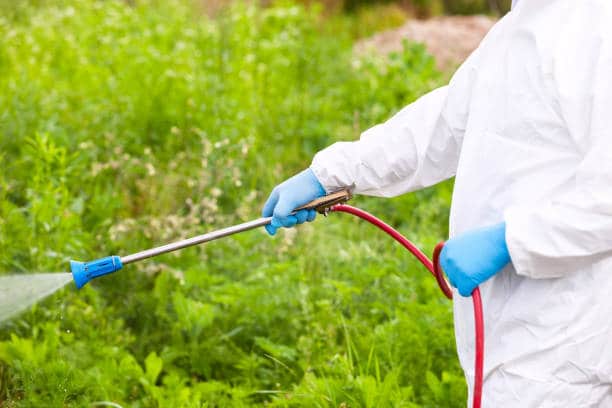 L’approche essentielle pour vos problèmes de nuisibles.