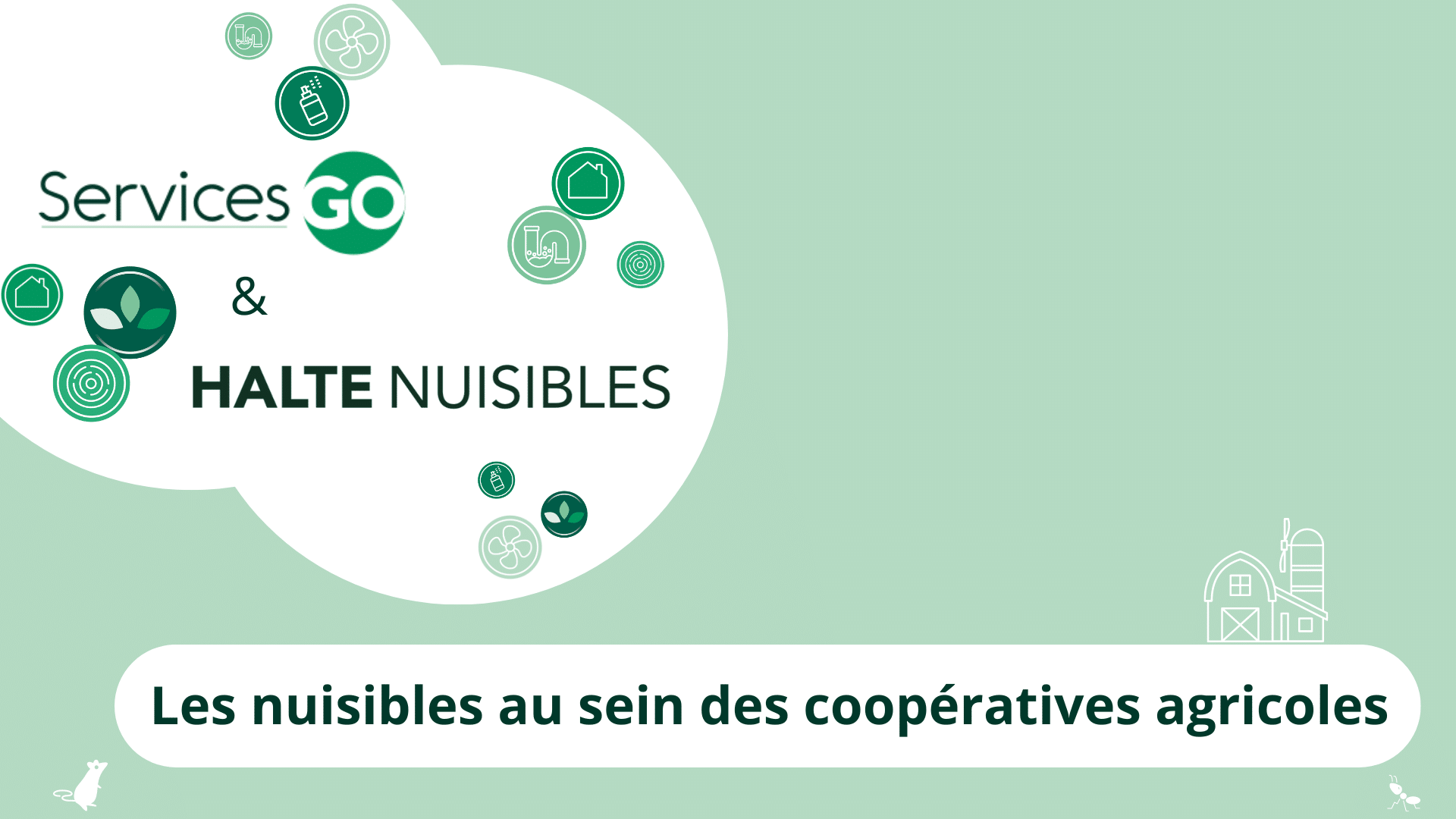 Les nuisibles au sein des coopératives agricoles : les nuisibles à surveiller