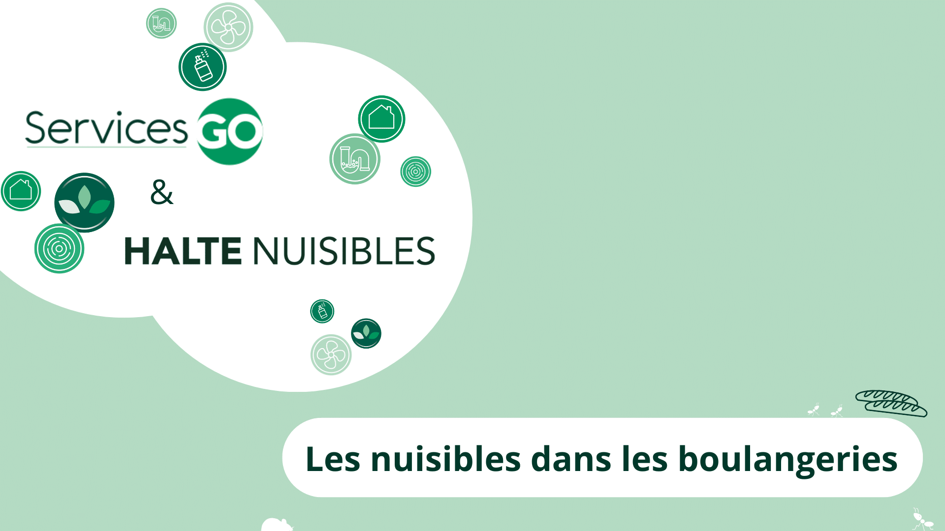 Les nuisibles dans les boulangeries : les nuisibles à surveiller