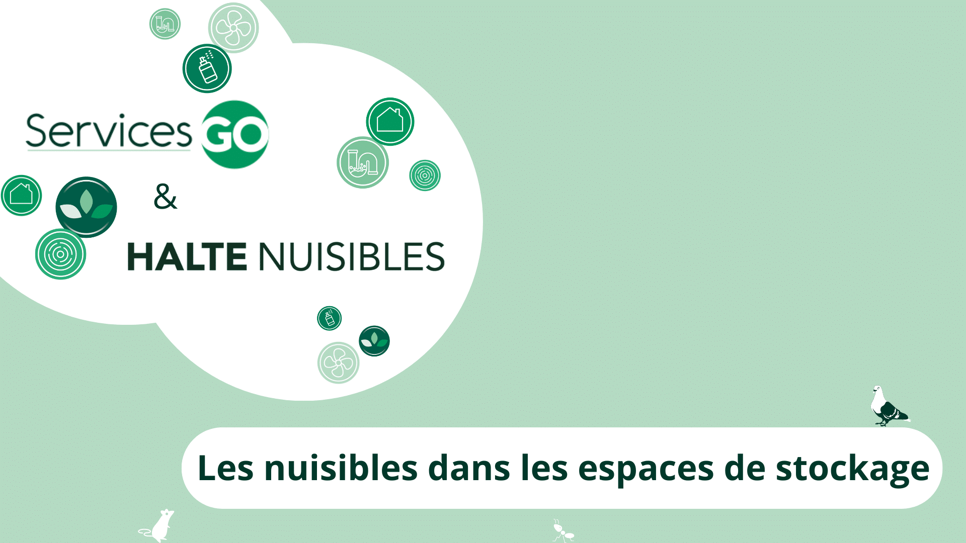 Les nuisibles dans les hangars et les espaces de stockage : les nuisibles à surveiller