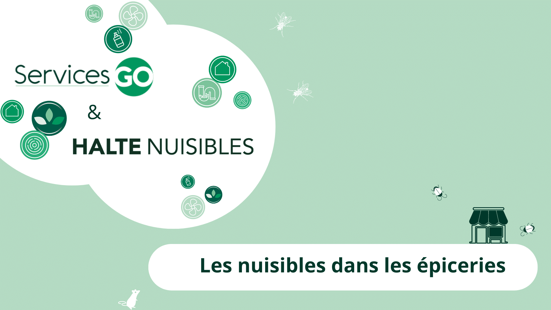 Les nuisibles dans les supérettes et les épiceries : les nuisibles à surveiller