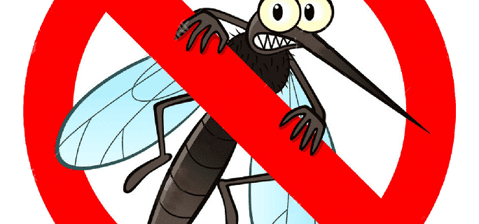 Lutte contre les nuisibles à Paris : 5 signes d’une infestation de moustiques
