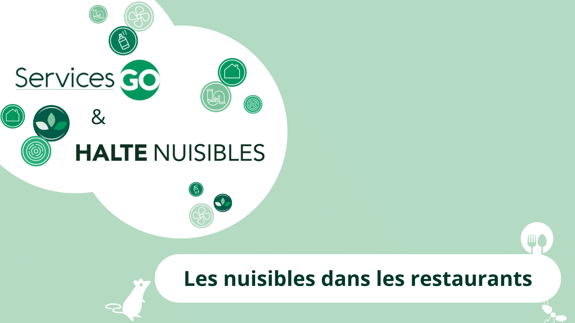 Les nuisibles dans les restaurants : les nuisibles à surveiller